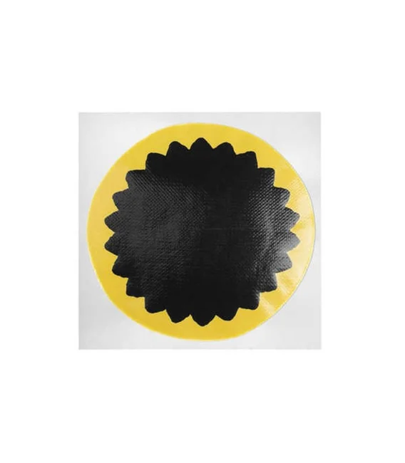 Foto del modelo: R02. Foto de un parche · venta por caja